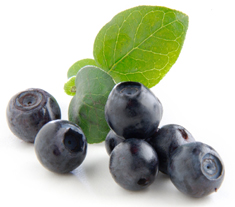 Bilberry