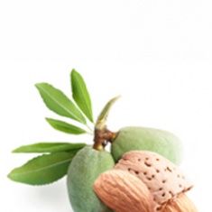 Pure almond 100%