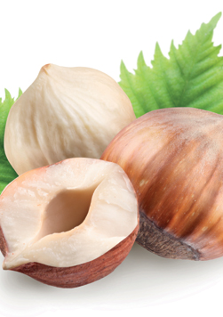 Hazelnut Tonda Gentile Trilobata 100% pure