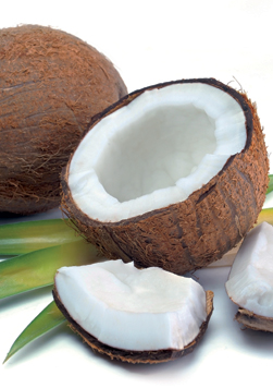 Coconut