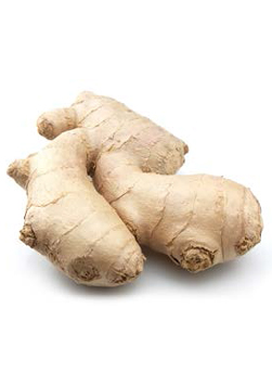 Ginger