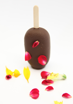 Ice-cream on sticks with biancherò vegan